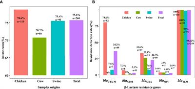 High Prevalence and Diversity Characteristics of blaNDM, mcr, and blaESBLs Harboring Multidrug-Resistant Escherichia coli From Chicken, Pig, and Cattle in China